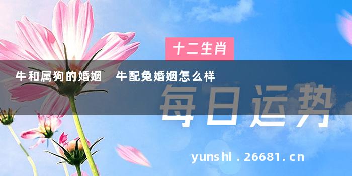 牛和属狗的婚姻 牛配兔婚姻怎么样